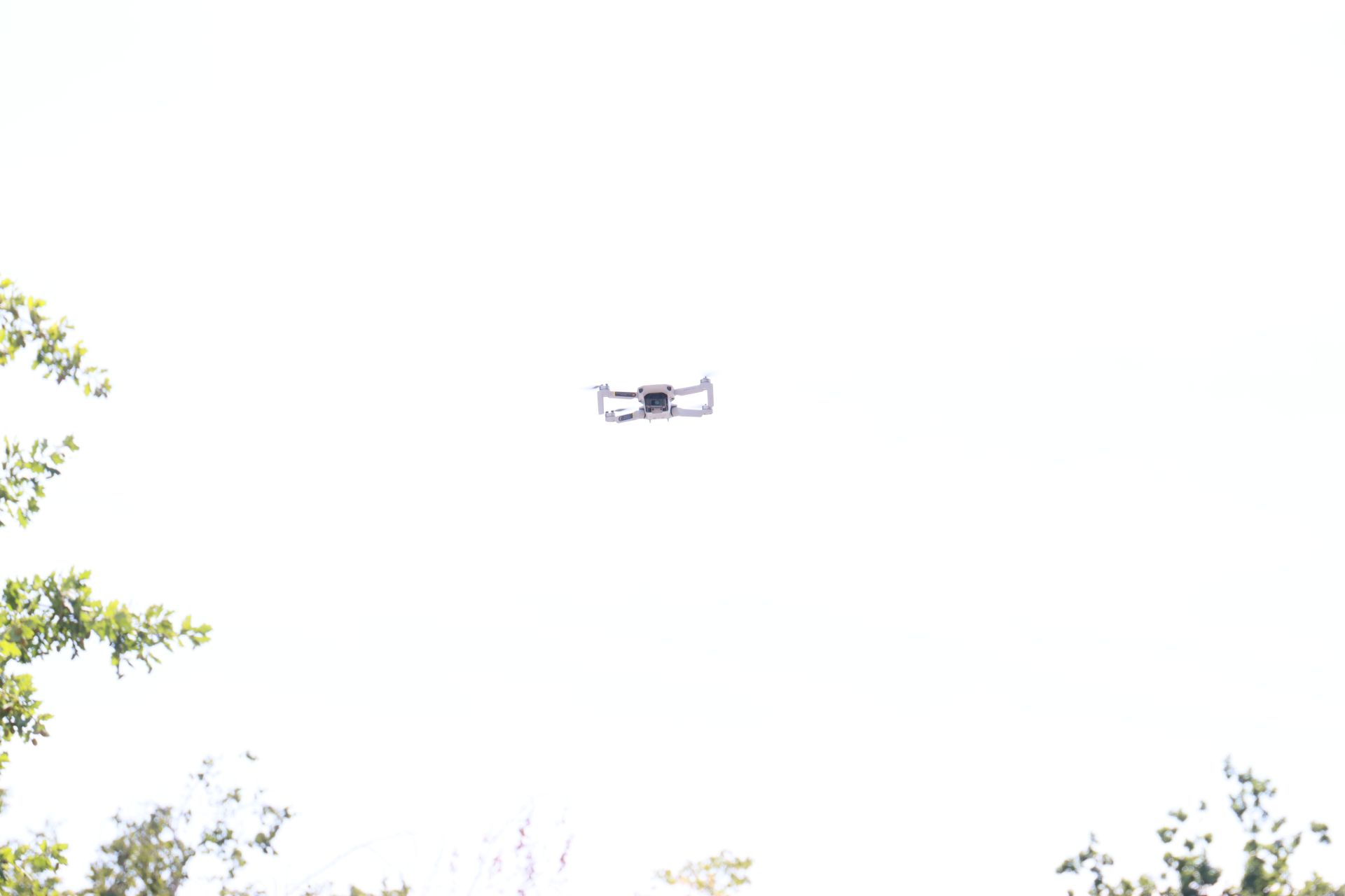 Hochzeitsbild 109